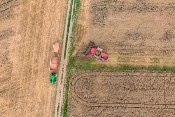 Combine Harvester Working Wheat Field Agriculture Aerial View — Stock Photo, Image