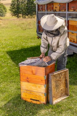 Apiary'de petek çerçevesini denetleyen koruyucu iş kıyafetinde arıcı.