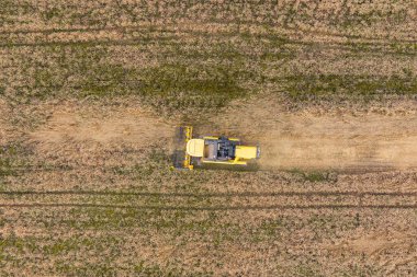 Buğday tarlasında çalışan hasat makinesini birleştirin. Tarım hava görüntüsü