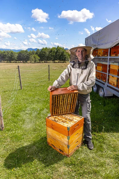 Male Beekeeper Wearing Protective Costume Standing Apiary Part Hive — Stock Photo, Image