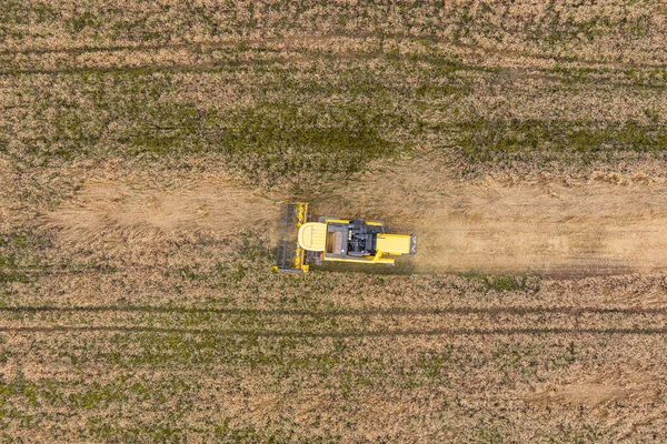 Combine Harvester Working Wheat Field Agriculture Aerial View — Stock Photo, Image