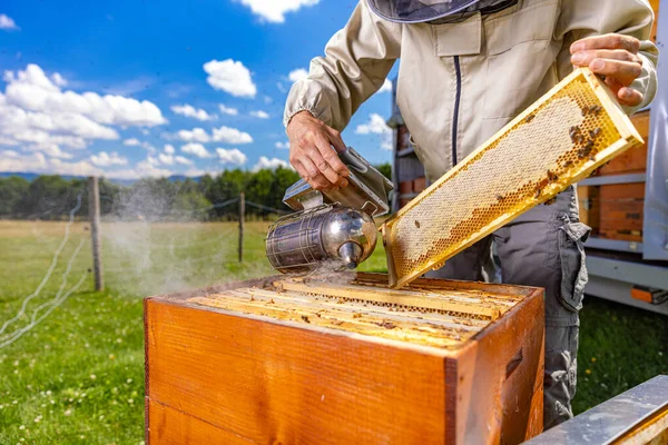 Пчеловод Осматривает Улей Время Ношения Защитного Костюма — стоковое фото