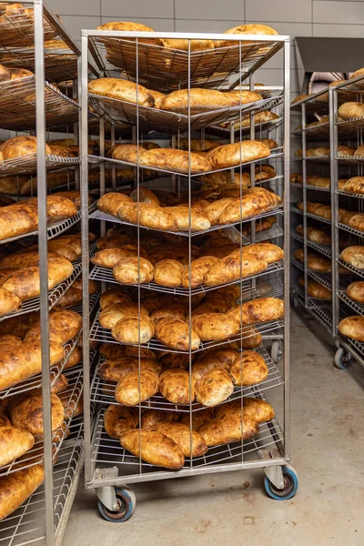 stock image Rustic bread made from light flour on industrial shelves