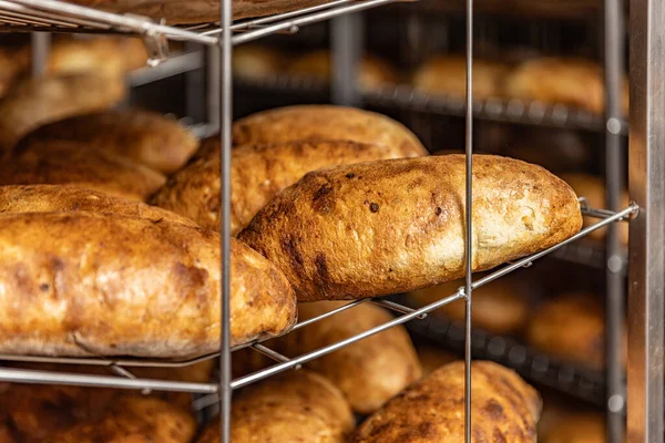 Close up of bread on shelves. Industrial bread production