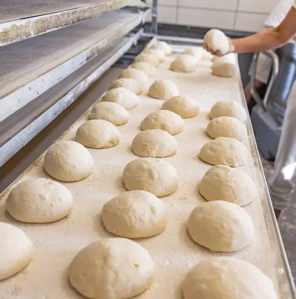 Industrial production of bakery products. Bread dough in bakery