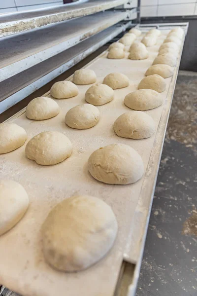 Industrial conveyor for making bread at bakery. Ball of raw bread dough