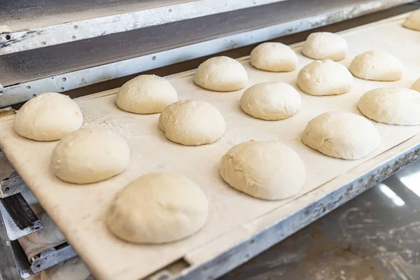 Conveyor with ball dough at the bread factory.