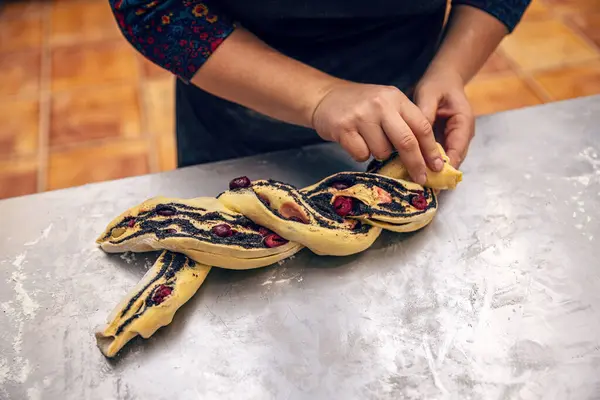 Female hands preparing a poppy seeds babka. Traditional jewish bread-like cake swirled with poppy seeds and cherry