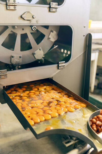 Промышленная машина для пищевой промышленности со свежими яйцами на макаронном заводе