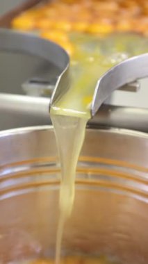 Yumurta sarılarını yiyecek işleme için ayıran endüstriyel makine.