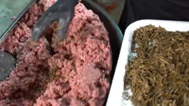 Kasaplar taze etle taze et karıştırıyor. 