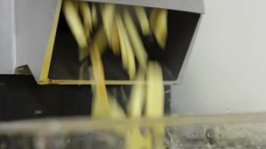 Patates kızartması endüstriyel makineden düşüyor.