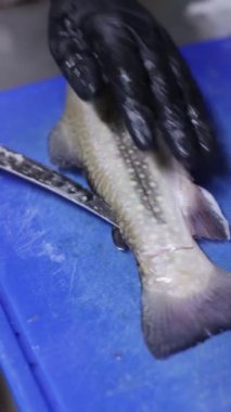 Eldivenli eller mavi bir kesme tahtasındaki taze balığı ustalıkla fileto yaparak pişirmeye hazırlanıyor.