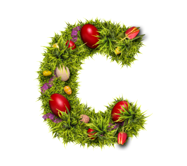 Paskalya bayramı mektubu C taze yeşil çimen ve paskalya yumurtalarından yapılmıştır.