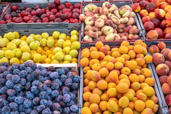 Plums Peaches Sale Market — Stock Photo, Image