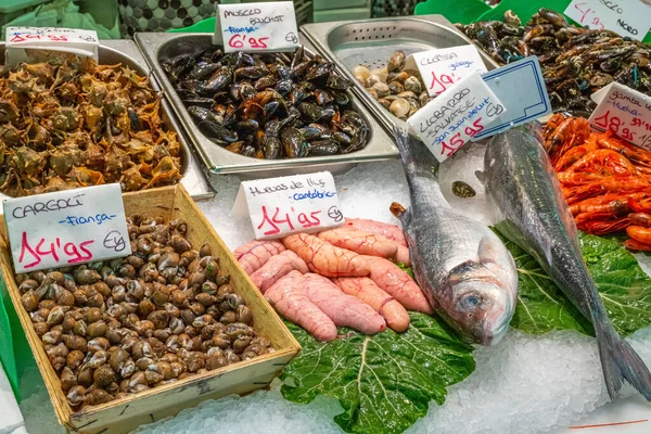 Clams Seafood Fish Sale Market Barcelona Spain — Fotografia de Stock