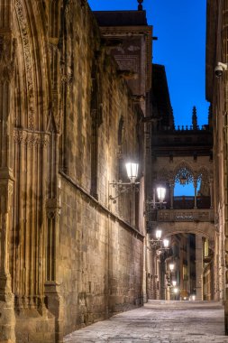 The Barrio Gotico in the old town of Barcelona at twilight with the Pont del Bispe