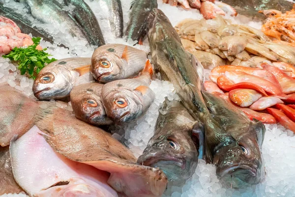 Улов Рыбы Продажи Рынке Барселоне — стоковое фото