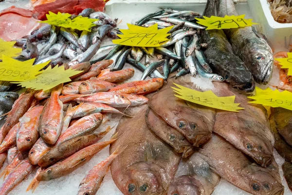 Świeże Ryby Sprzedaż Targu Barcelonie Hiszpania — Zdjęcie stockowe