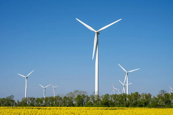 Wind Turbines Blooming Rapeseed Field Seen Germany — Stock Photo, Image