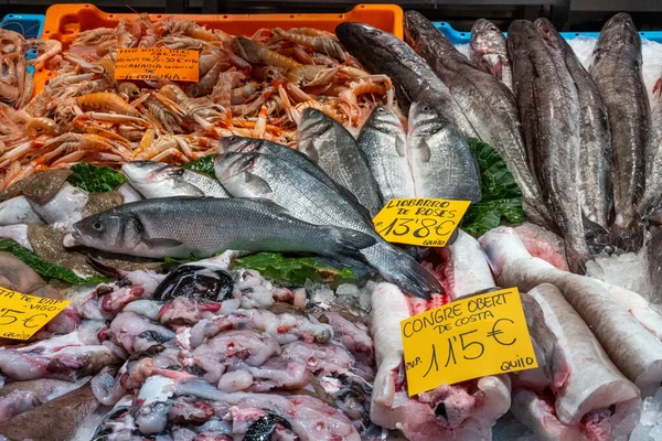 Barcelona Daki Boqueria Pazarında Satılık Balık Avı — Stok fotoğraf