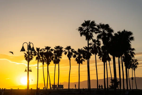 Венеціанський Пляж Лос Анджелесі Заходу Сонця Стокове Фото