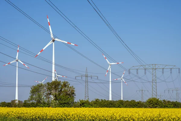 Elektrik Hatları Rüzgar Türbinleri Çiçek Açan Kanola Alanında — Stok fotoğraf