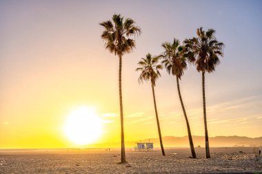 Gün batımından hemen önce Los Angeles Venedik Plajı