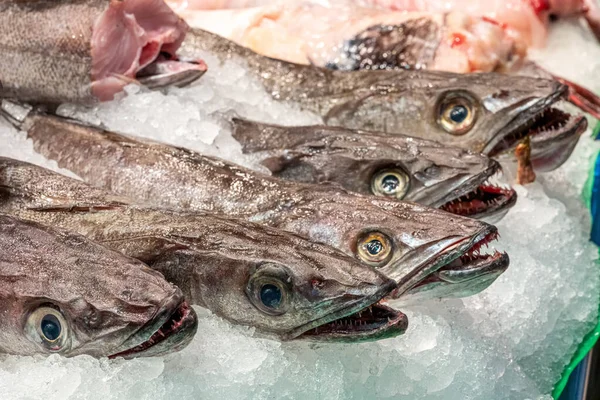 Fresh Fish Sale Market Barcelona Spain — Stock Photo, Image