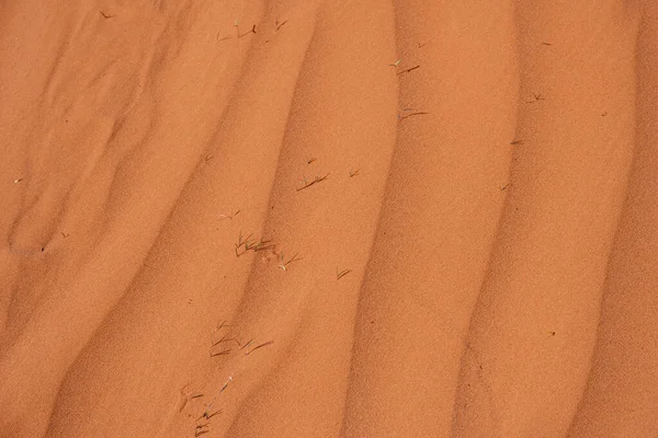 Background Rippled Surface Red Sand Dune — Stock Photo, Image