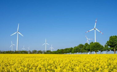 Almanya 'da rüzgar türbinleri, ağaçlar ve çiçek açan kanola tarlası görülüyor