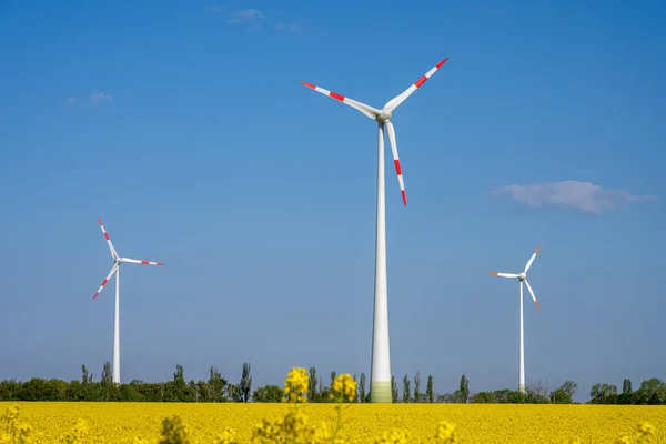 在德国看到的风力涡轮机和开花菜籽场 — 图库照片