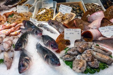 Barcelona, İspanya 'da satılık balık ve deniz ürünleri için harika bir seçim.