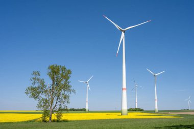Rüzgar türbinleri ve Almanya kırsalında görülen yalnız bir ağaç