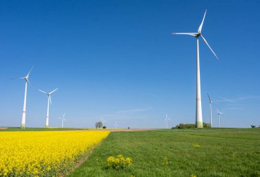 Green and yellow fields with wind turbines seen in Germany clipart