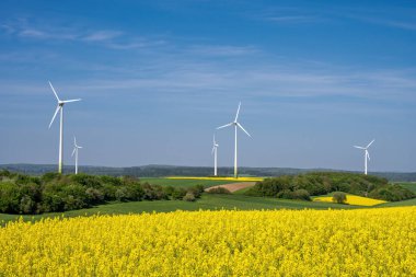 Almanya 'da sarı kanola tarlaları ve rüzgar türbinleriyle kırsal alan