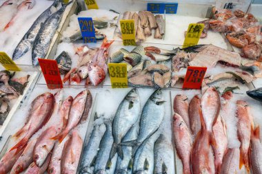 Çin Mahallesi, New York 'ta bir markette taze balık satılıyor.