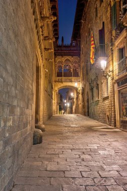 Barcelona 'daki Gotik Mahallesi' nde, Pont del Bispe ile birlikte.