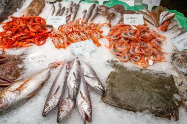 İspanya, Barselona 'da bir markette taze balık ve karides satılıyor.