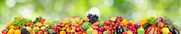 绿色模糊背景下明亮的浆果 水果和蔬菜 — 图库照片