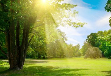 Güneşin doğuşu güzel parkta