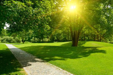 Parlak sabah güneşi parkı çayır ve yürüyüş yollarıyla aydınlatıyor..