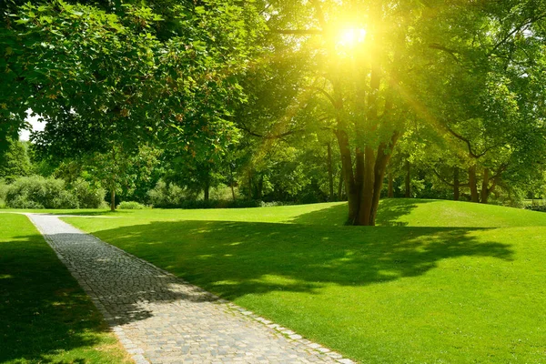 Strahlende Morgensonne Erhellt Park Mit Wiese Und Fußweg — Stockfoto