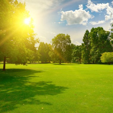 Güneşin doğuşu güzel parkta