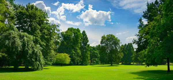 Beautiful Meadow Green Grass Large Public Park — Zdjęcie stockowe