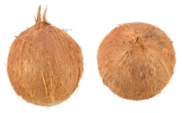 Kokosnuss Aus Verschiedenen Winkeln Isoliert Auf Weißem Hintergrund — Stockfoto