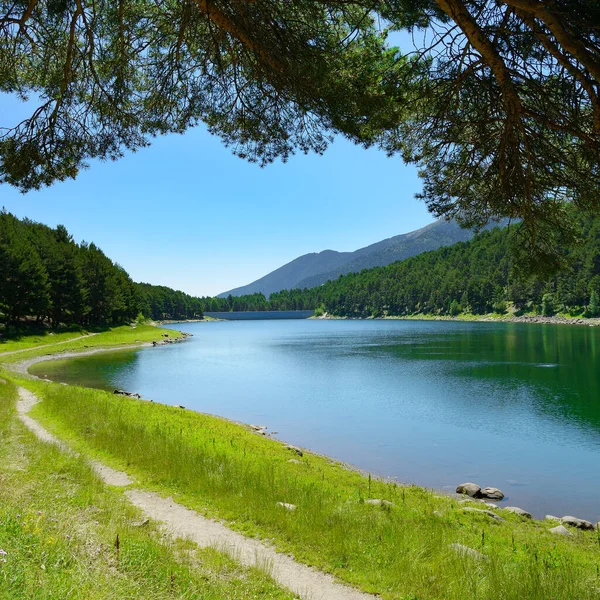 Schöner See Und Berge Mit Nadelwald Bedeckt — Stockfoto