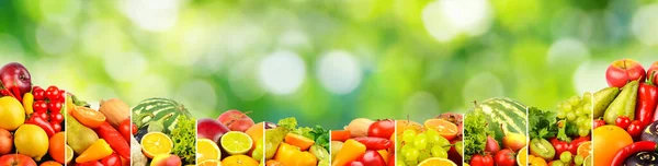 Wide Panorama Fruits Vegetables Berries Your Layout Green Blurred Background — Stock fotografie