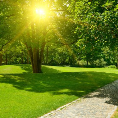 Parlak sabah güneşi parkı çayır ve yürüyüş yollarıyla aydınlatıyor..