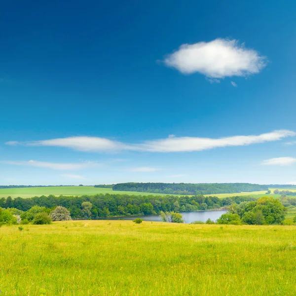 Jasne Letnie Pastwiska Świeżą Trawą Błękitnym Niebem — Zdjęcie stockowe